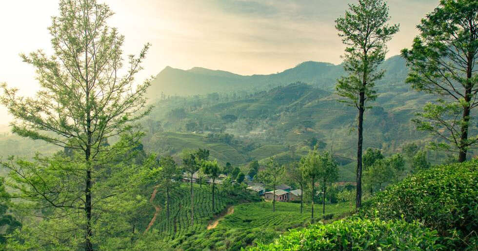 Nuwara Eliya, Sri Lanka: The Little England Perfect For Summer Escapes