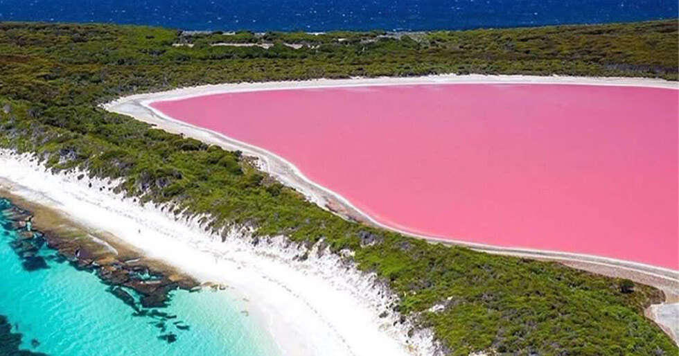 The Pink Lake (Lake Hillier): Why This Australian Lake Looks Like Milkshake