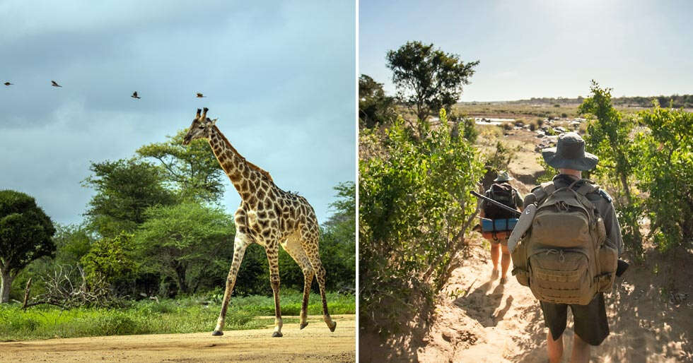 Second Time Around: Why South Africa Saves Its Best Secrets For Your ...