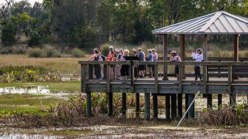 Birdwatching is part of the wildlife experience beyond the safari