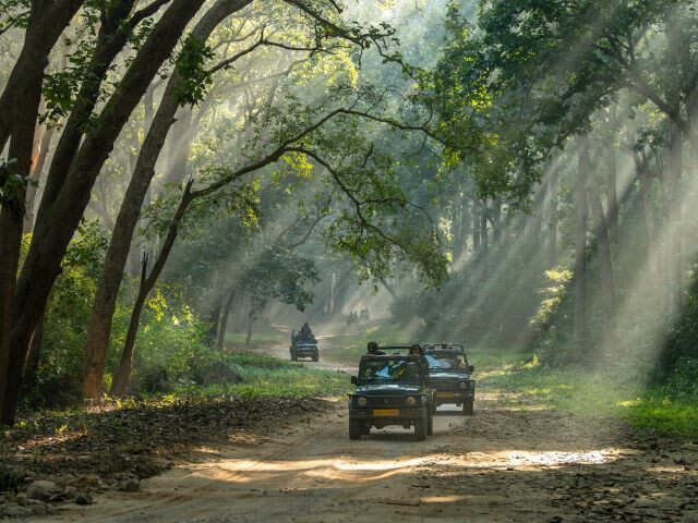 Wildlife Tourism Needs To Move Beyond The ‘Safari Experience’