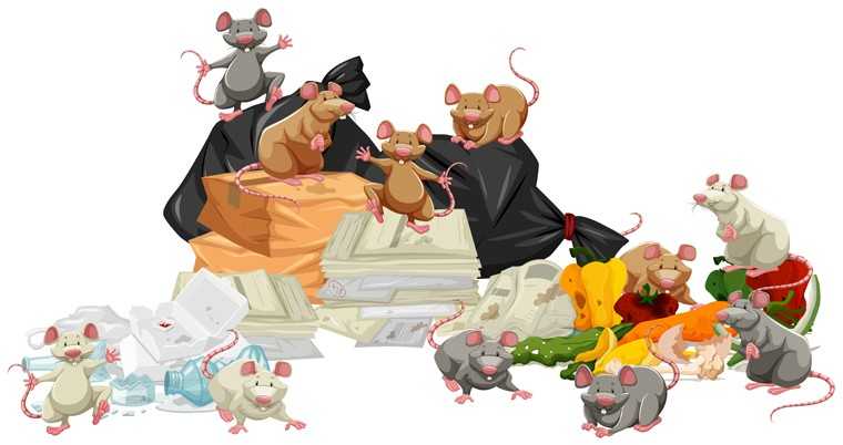 ways-to-get-rid-of-mice