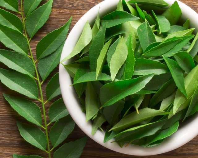 Curry leaves can transform your hair | Femina.in