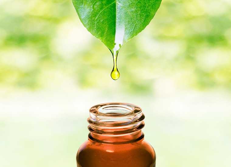 Tea tree oil for nails