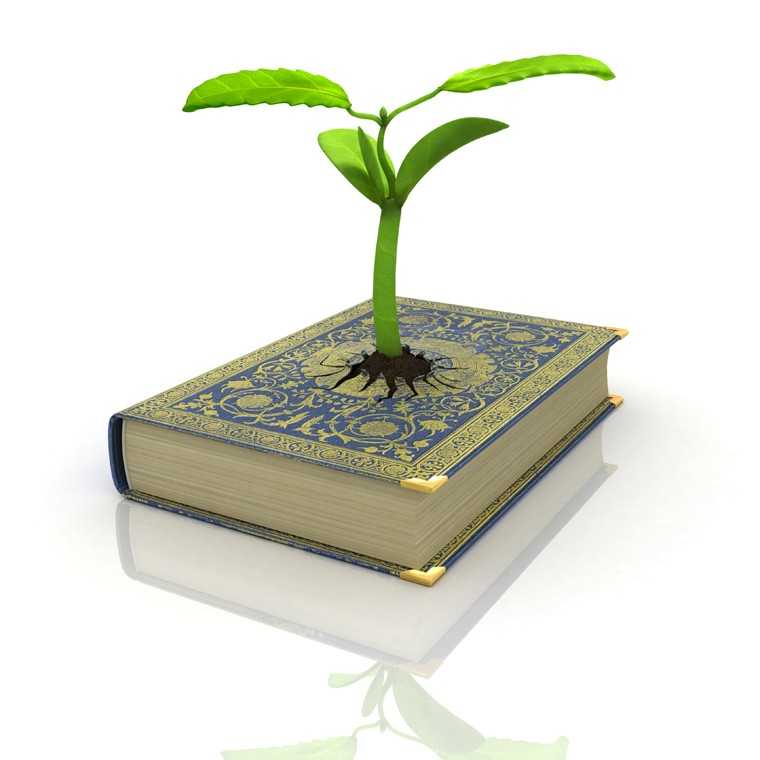 Book planter