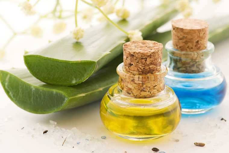 10 Natural Cures For Insect Bites Femina In 10 Natural Cures For Insect Bites Femina In
