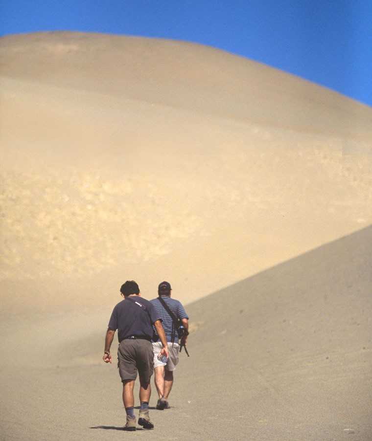 Paracas National Reserve and the Ica Desert