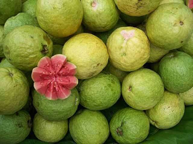 சிவப்பு கொய்யாவை ஏன் சாப்பிட வேண்டும்? - Why eat red guava? | பெமினா தமிழ்