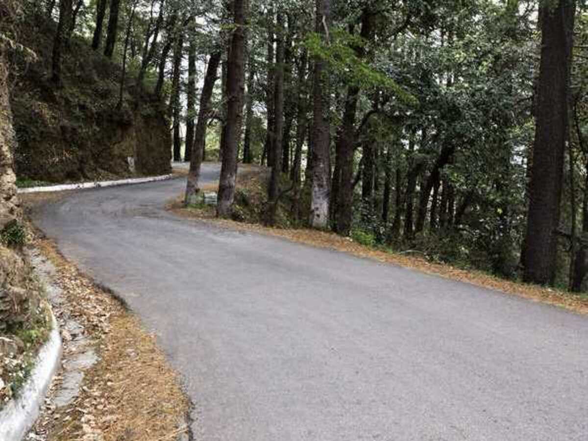 Places to explore in Shimla, Himachal Pradesh | Femina.in