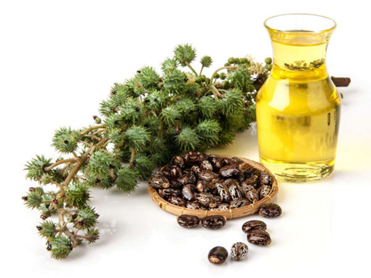 Benefits of castor oil for skin and hair 