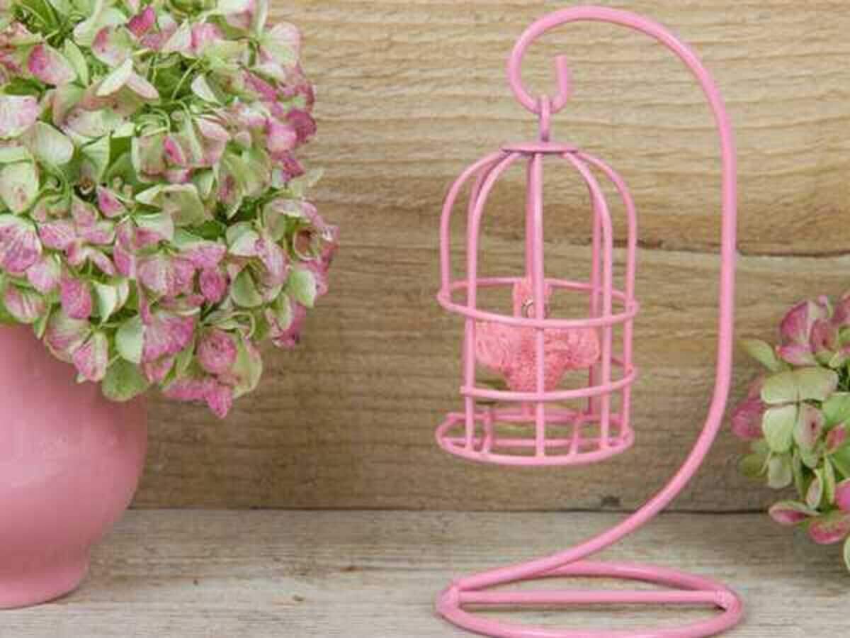 Hanging a Birdcage