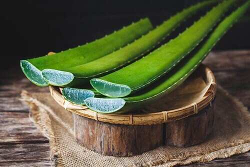 Lait de coco et aloe vera pour les cheveux