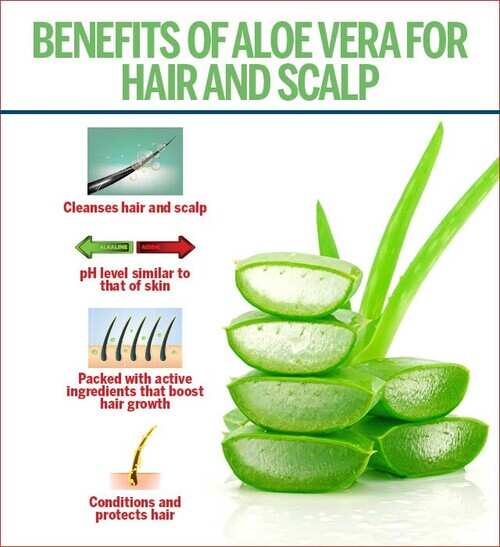 Aloe Vera para Crescimento de Cabelo