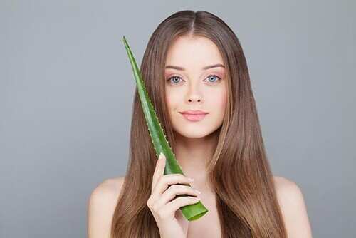 Aloe Vera para o cabelo tem benefícios imensos para o couro cabeludo e a saúde do cabelo