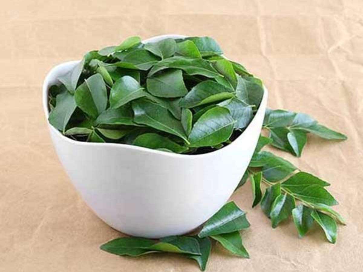 9 Top Uses Of Curry Leaves For Hair Growth Femina In I think in this situation a pixie crop or a bob would be good as they do not take much maintaining. uses of curry leaves for hair growth