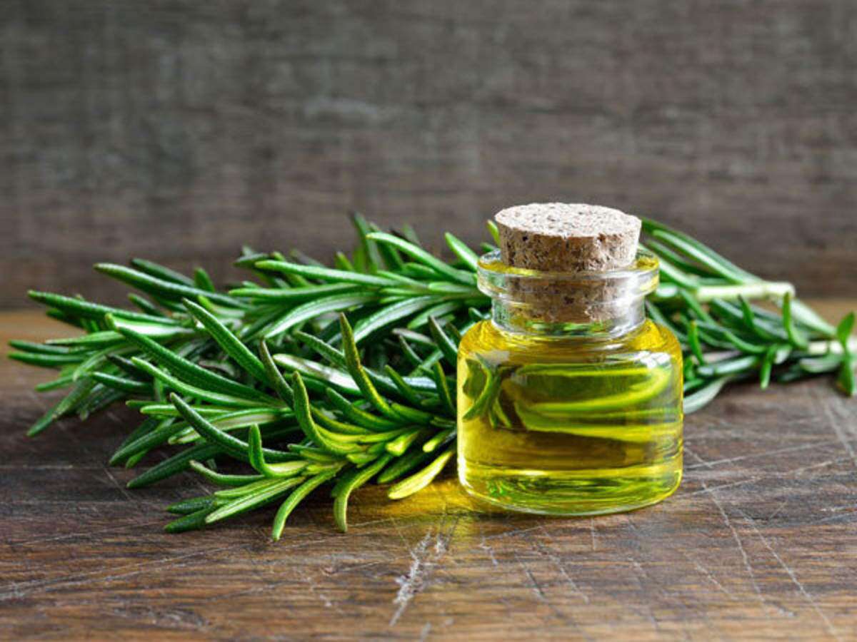 Rosemary Oil: Uses and Health Benefits 