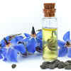 Borage oil the benefits for skin and hair  Le Sybarite