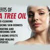 8 Clinically Proven Benefits Of Tea Tree Oil For Skin Femina.in