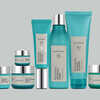 Amway s Artistry Skin NutritionTM Is Perfect For Healthy Youthful