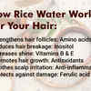 The Benefits of Using Rice Water for Hair According to Experts  SELF