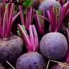 Beetroot benefits outlet in tamil